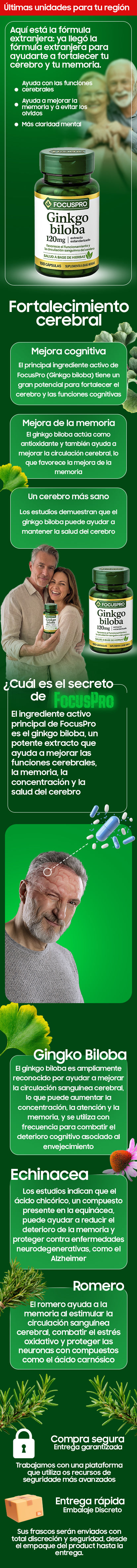FOCUS PRO- ULTIMAS UNIDADES.