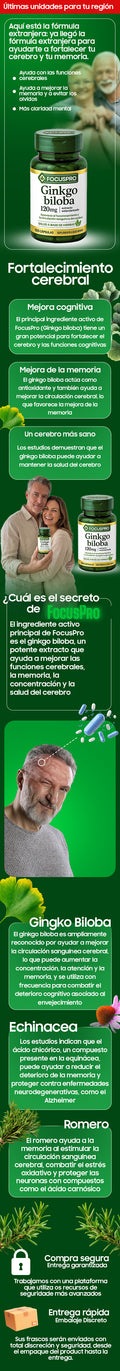 FOCUS PRO- ULTIMAS UNIDADES.